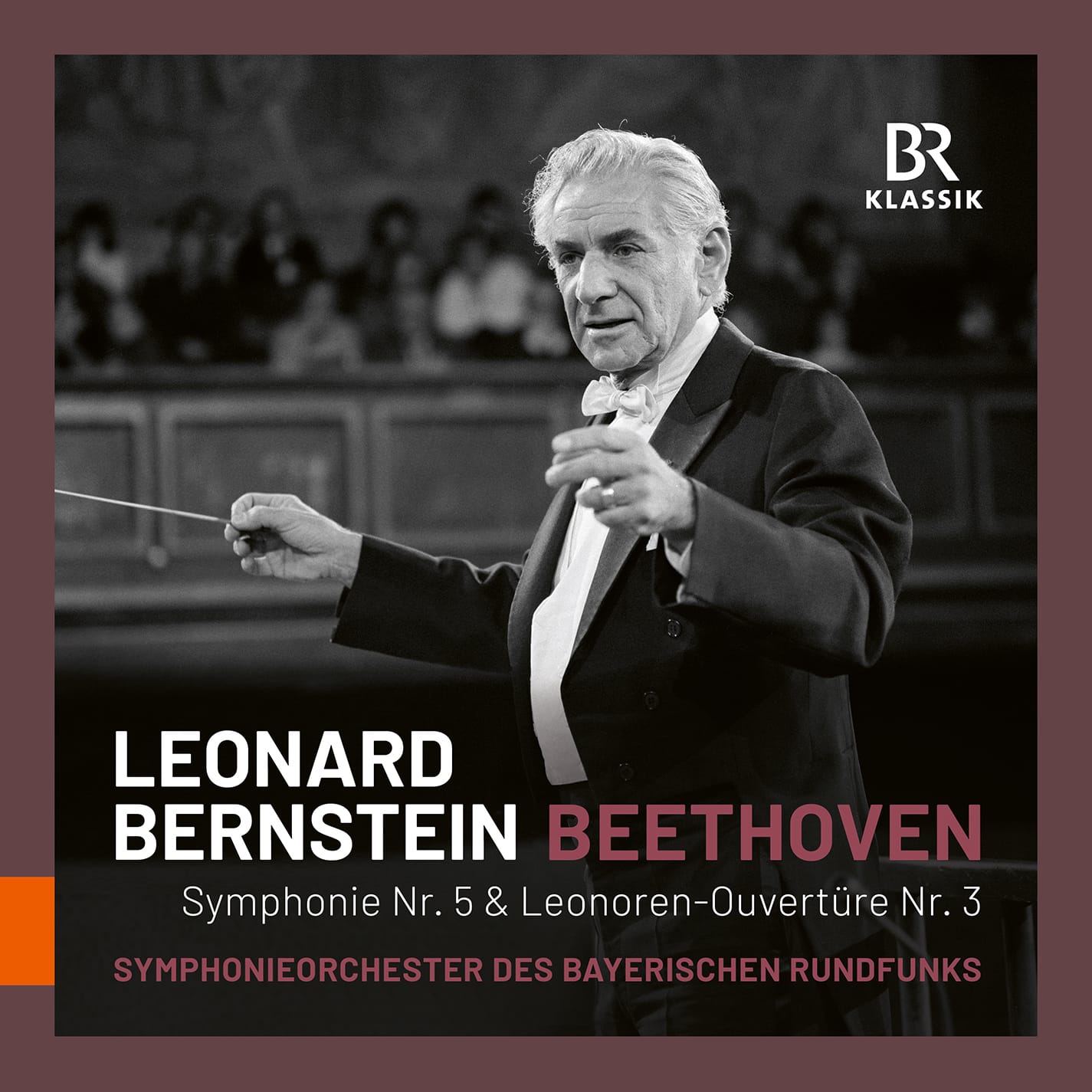Bernstein conducts Beethoven