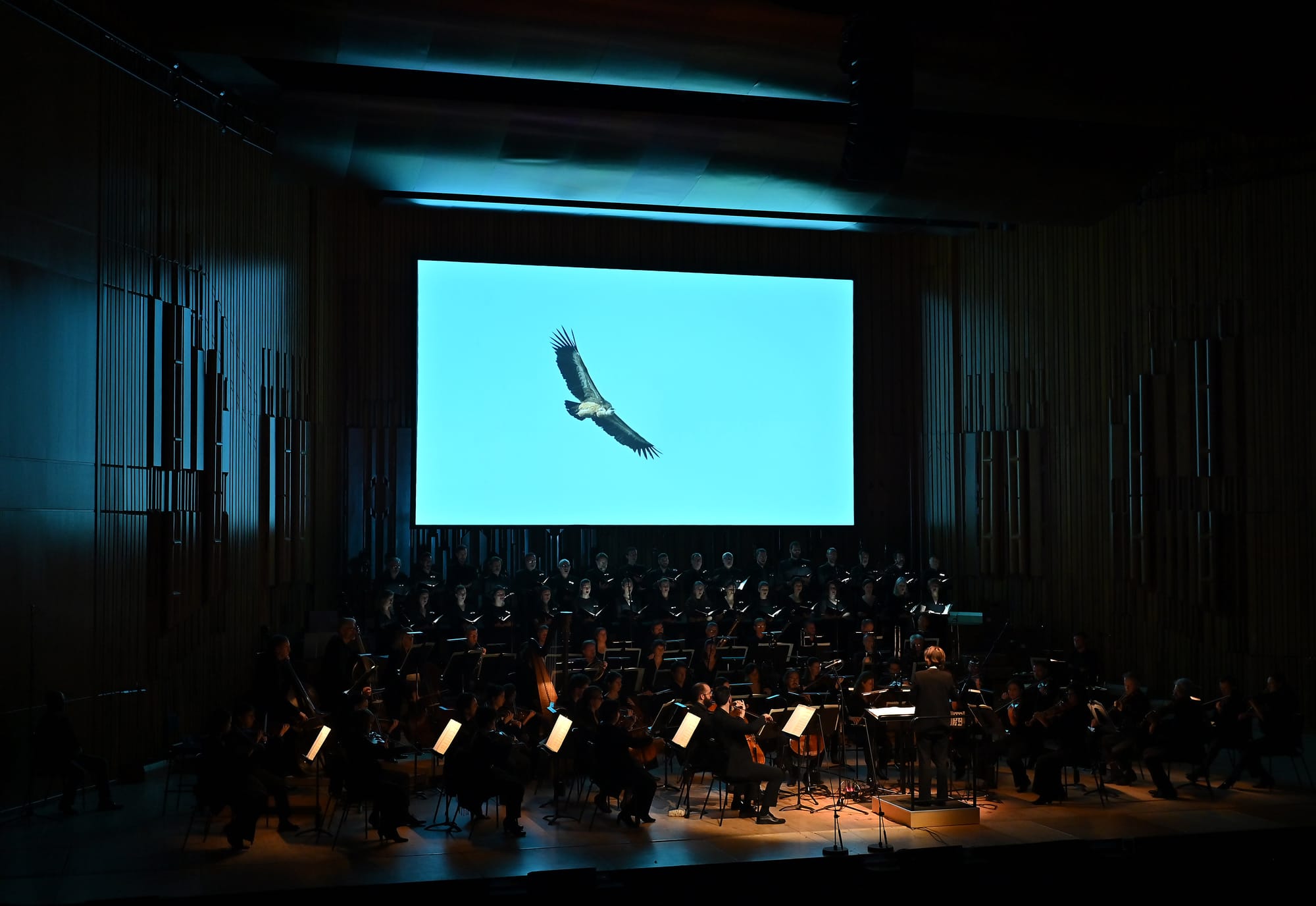 Revisiting death: Sky Burial at the Barbican