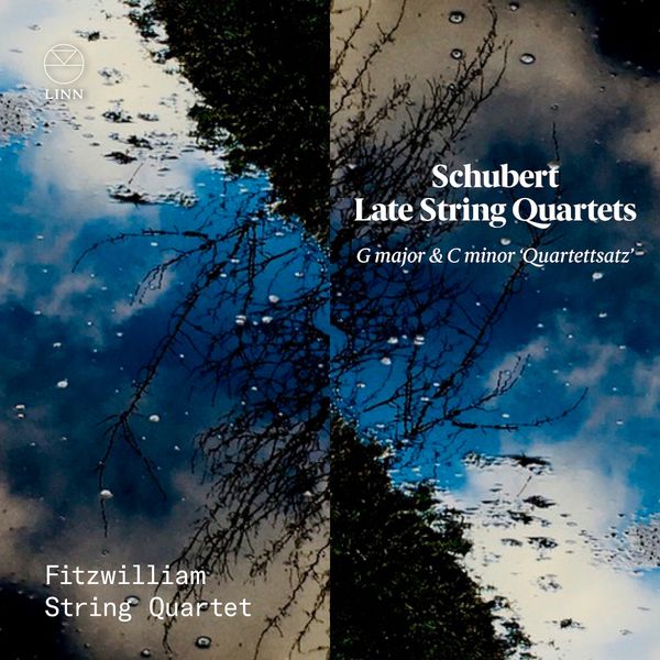 Schubert Late String Quartets from the Fitzwilliam Quartet