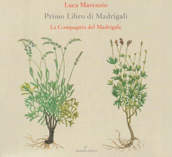 Luca Marenzio: Primo Libro di Madrigali