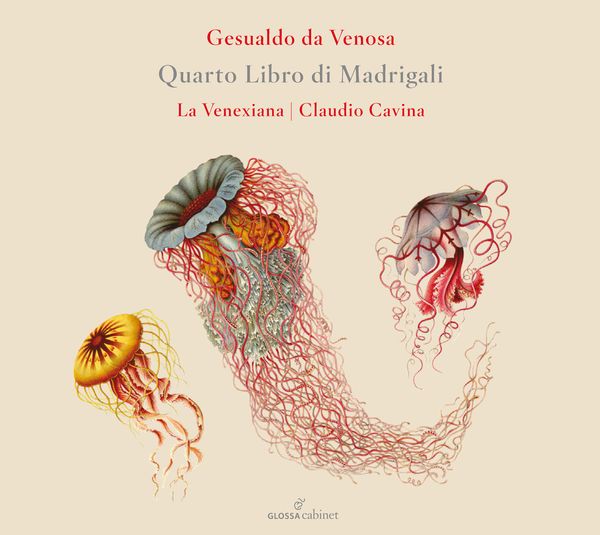 Carlo Gesualdo: Quarto Libro di Madrigali